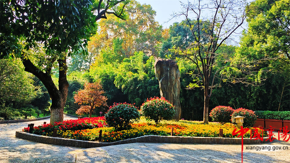 11月6日的习家池秋色。深秋季节，习家池宛如一颗璀璨的明珠，散发着迷人的秋韵。梧桐叶染上金黄，乌桕叶也变得火红，倒映在明澈的习家池中，交织出一幅色彩斑斓、令人陶醉的秋色画卷。